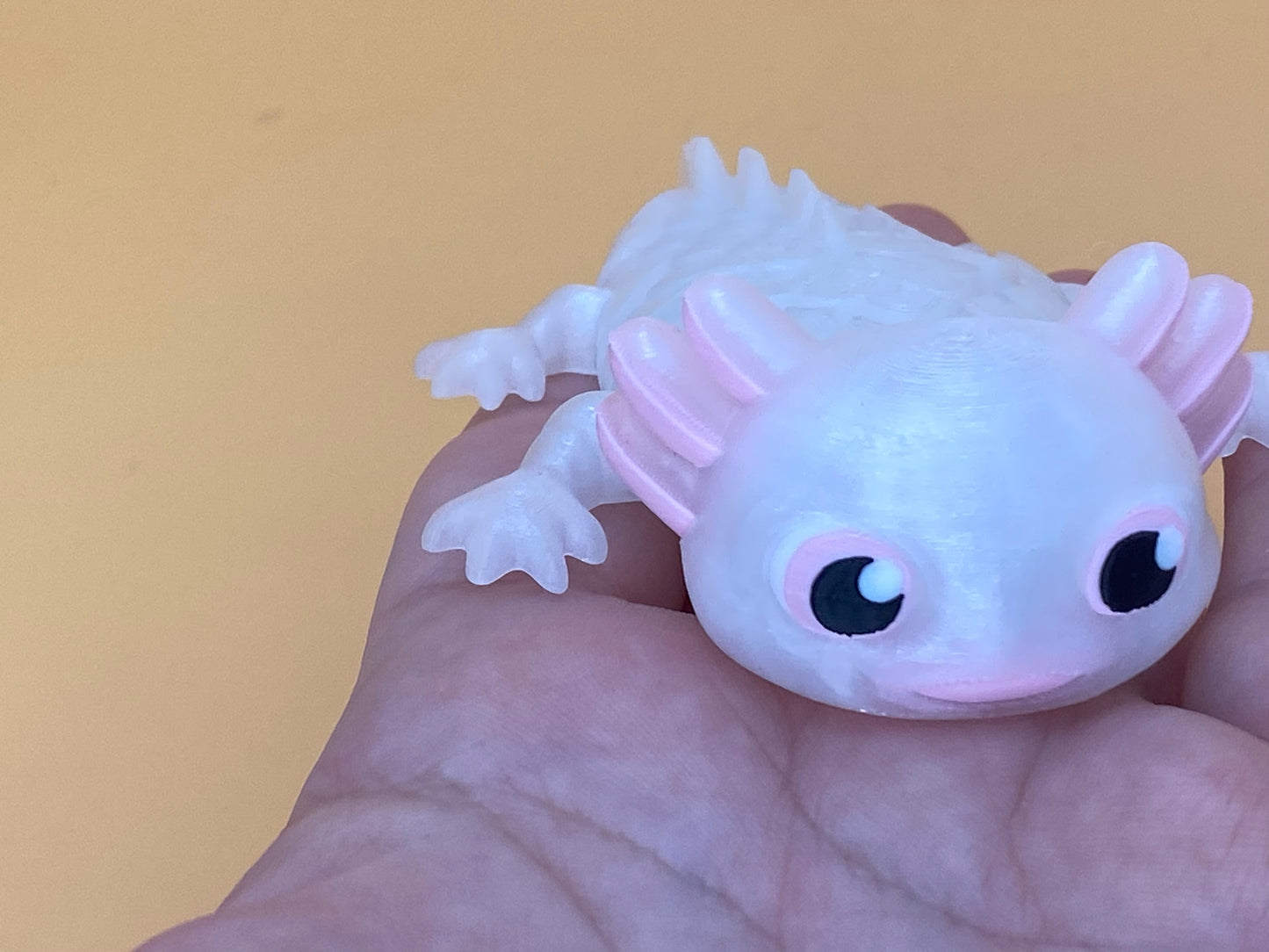 Cute little Axolotl