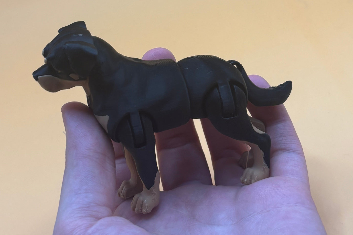 Rottingly sticking cute Rottweiler Figurine