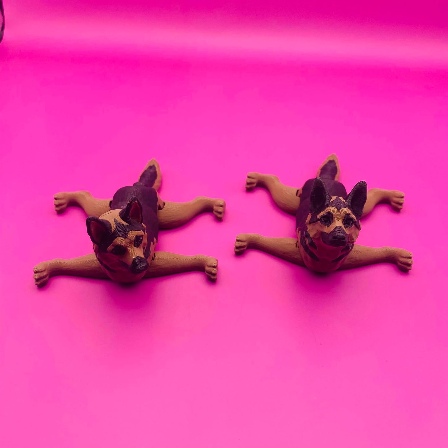 Gus the Gleeful German Shepherd Buddy! 🐾