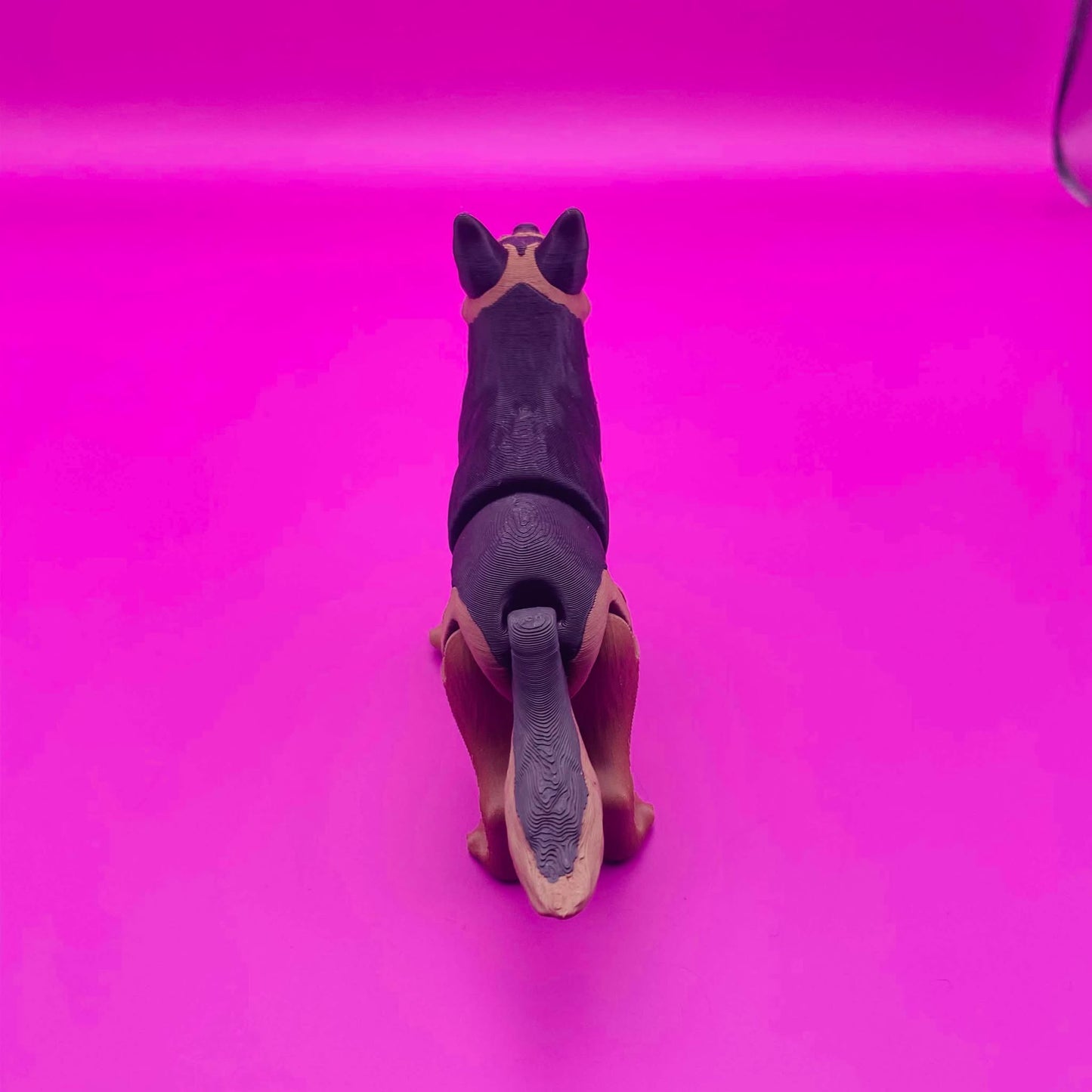 Gus the Gleeful German Shepherd Buddy! 🐾