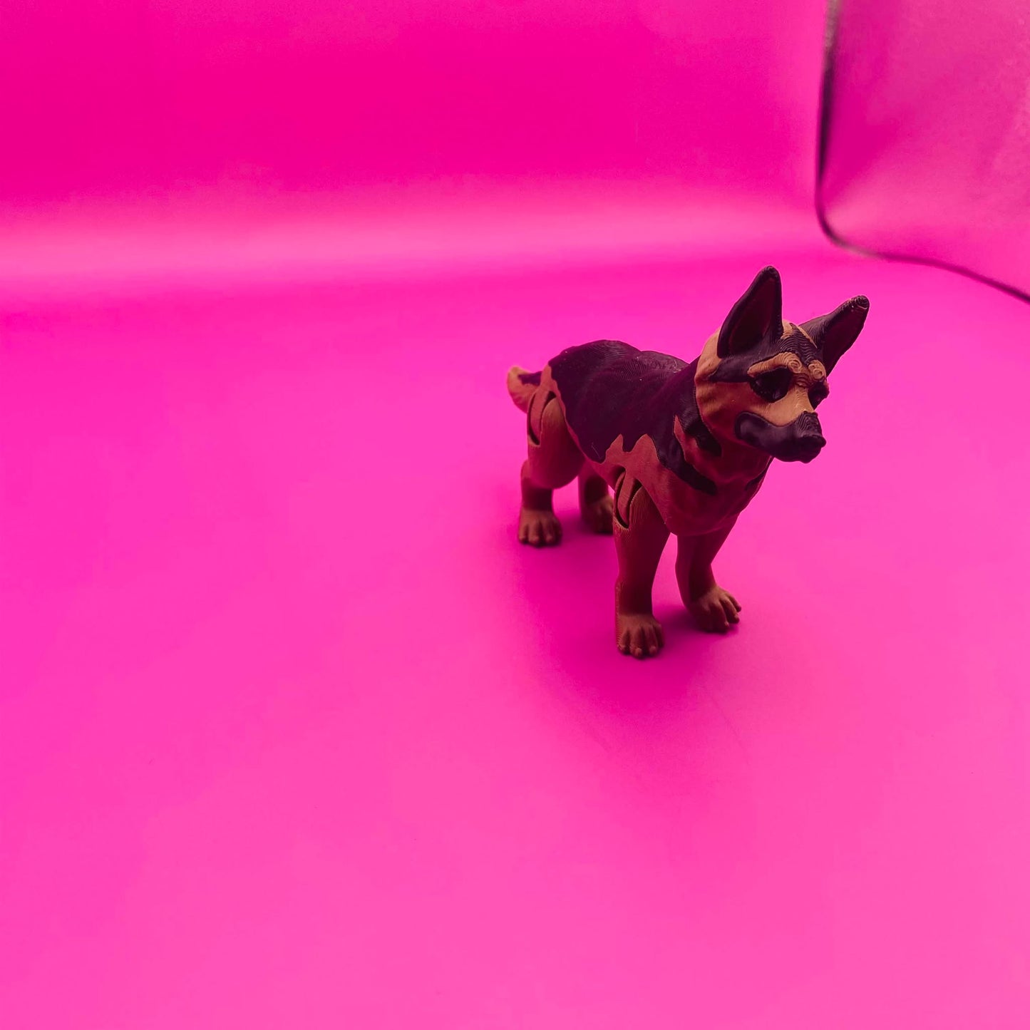 Wiggly Wiggles the German Pawsome