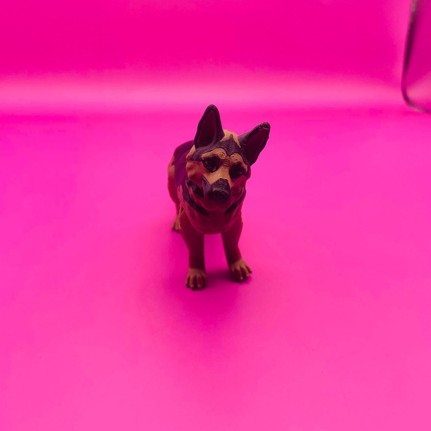 Wiggly Wiggles the German Pawsome