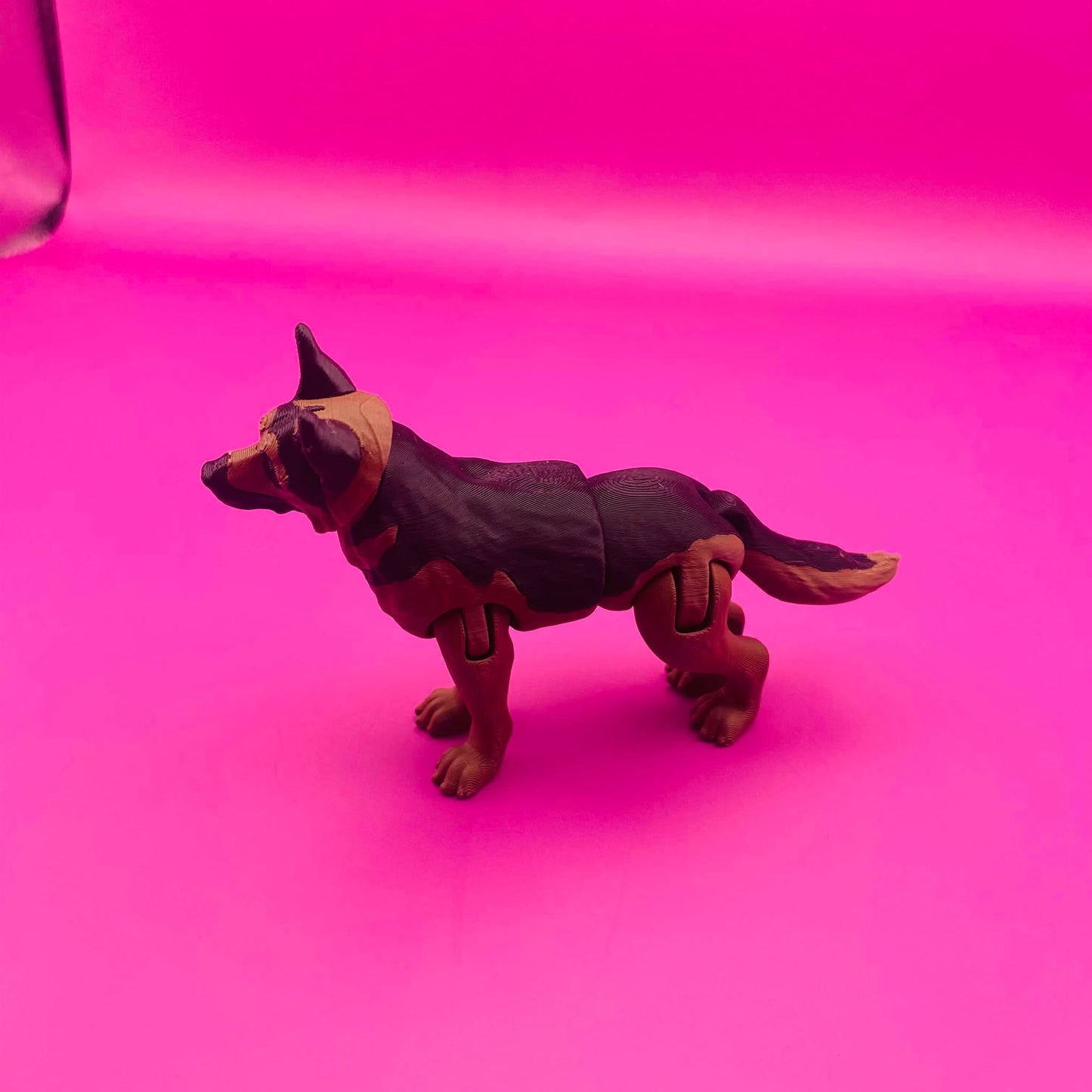 Gus the Gleeful German Shepherd Buddy! 🐾