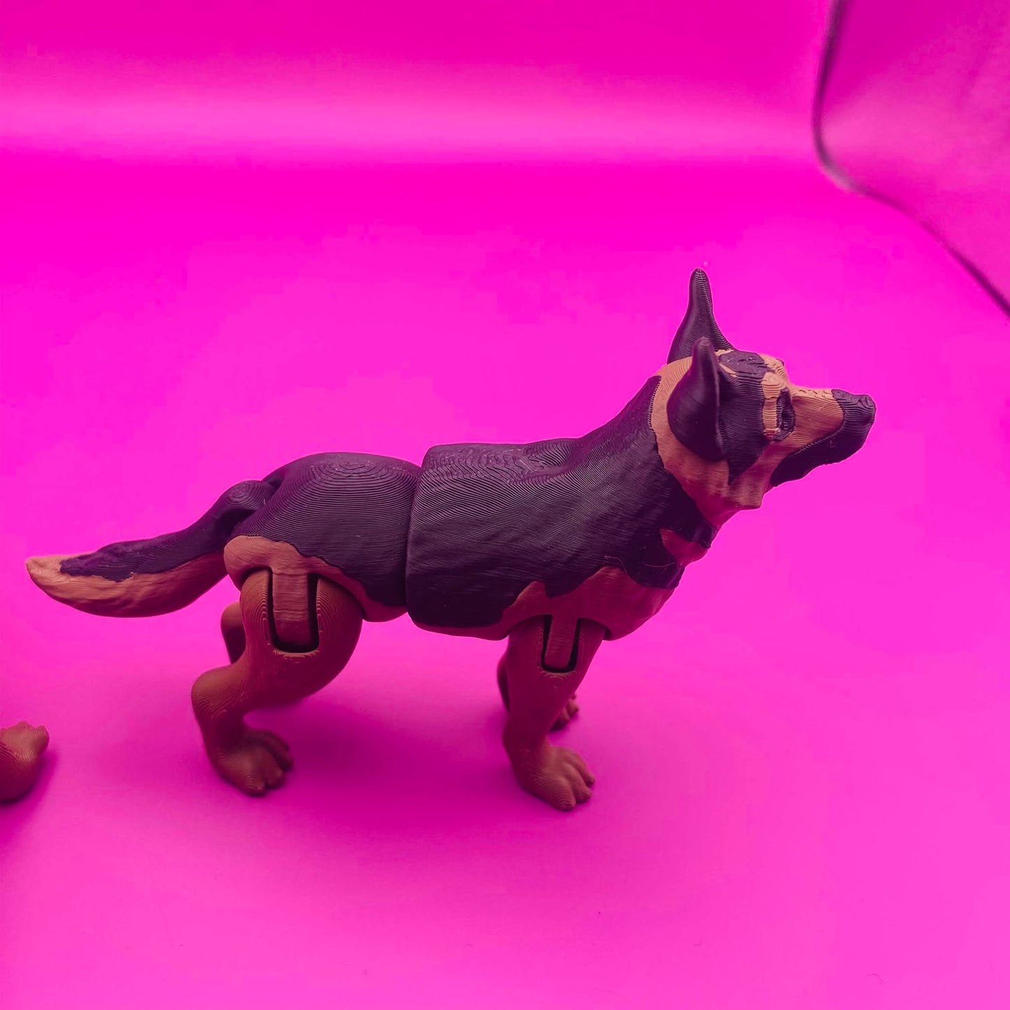 Wiggly Wiggles the German Pawsome