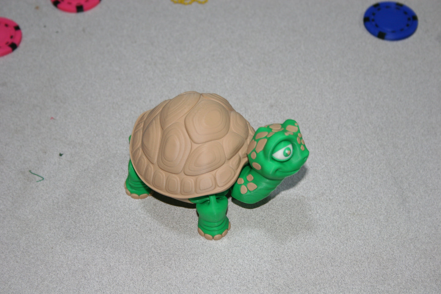 Cute Tortoise