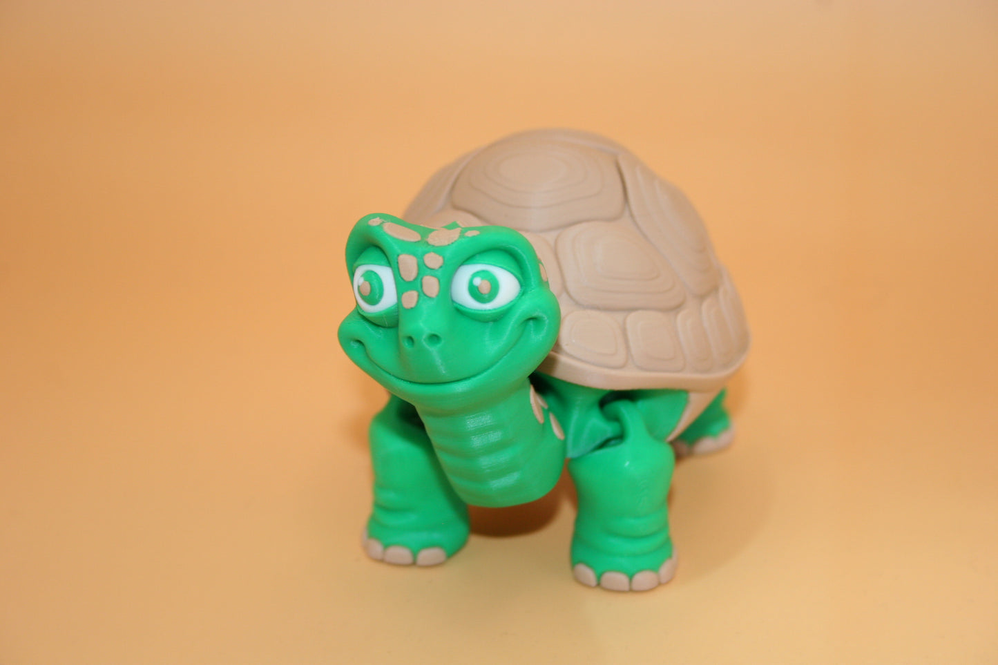 Cute Tortoise