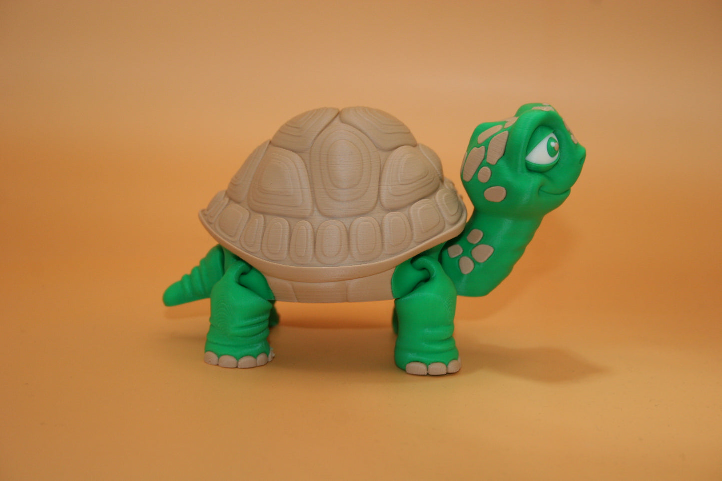 Cute Tortoise