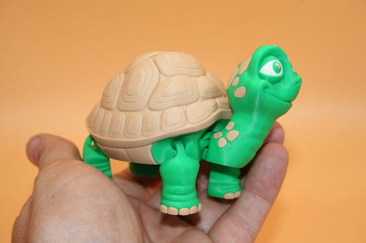 Cute Tortoise