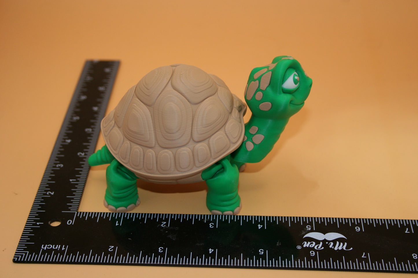 Cute Tortoise