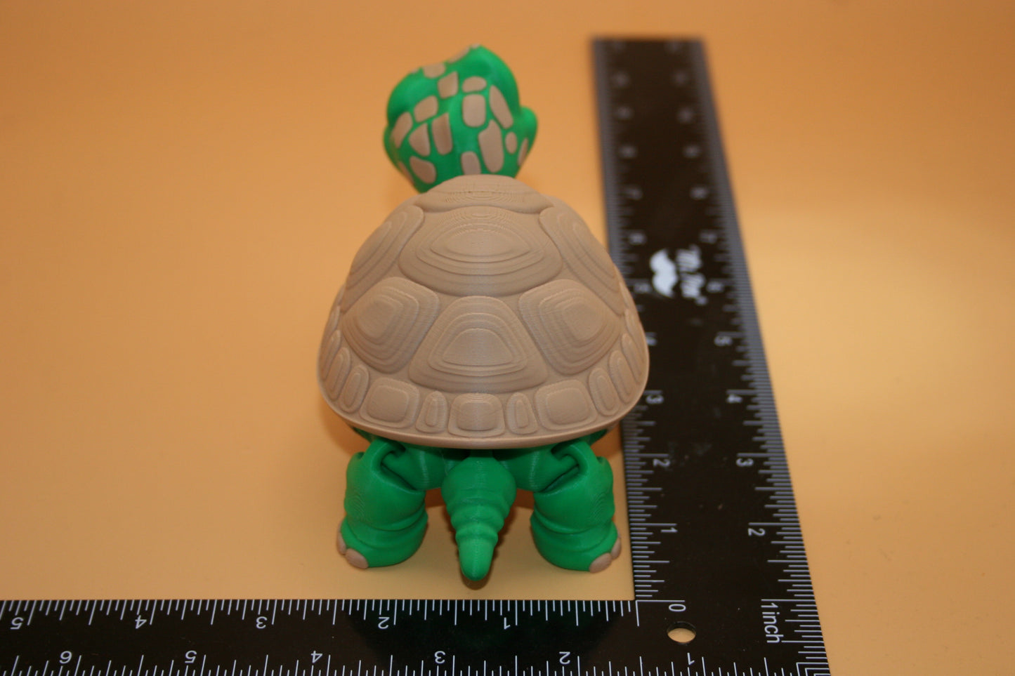 Cute Tortoise