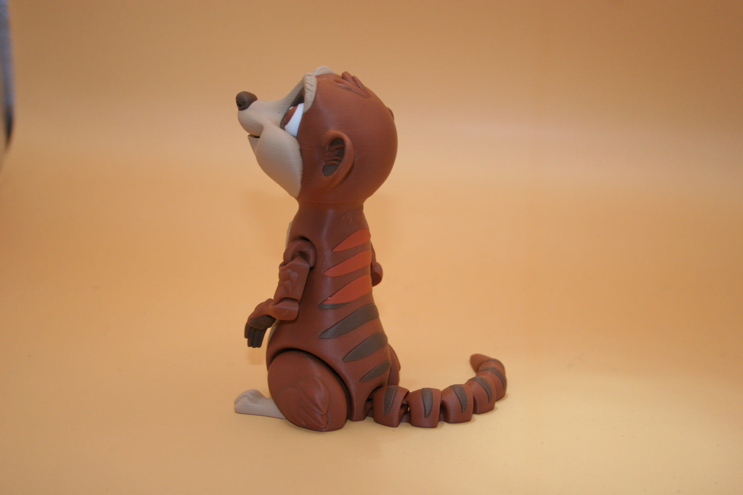 Playful Meerkat