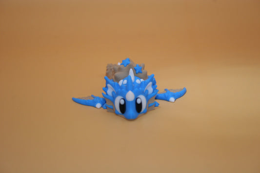 Seashell Dragon